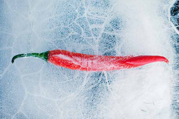 Frozen Chile Capsicum Chili Pepper