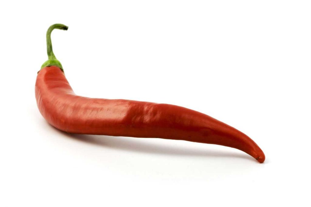 red chile pepper capsicum chili