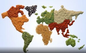 World map with spices